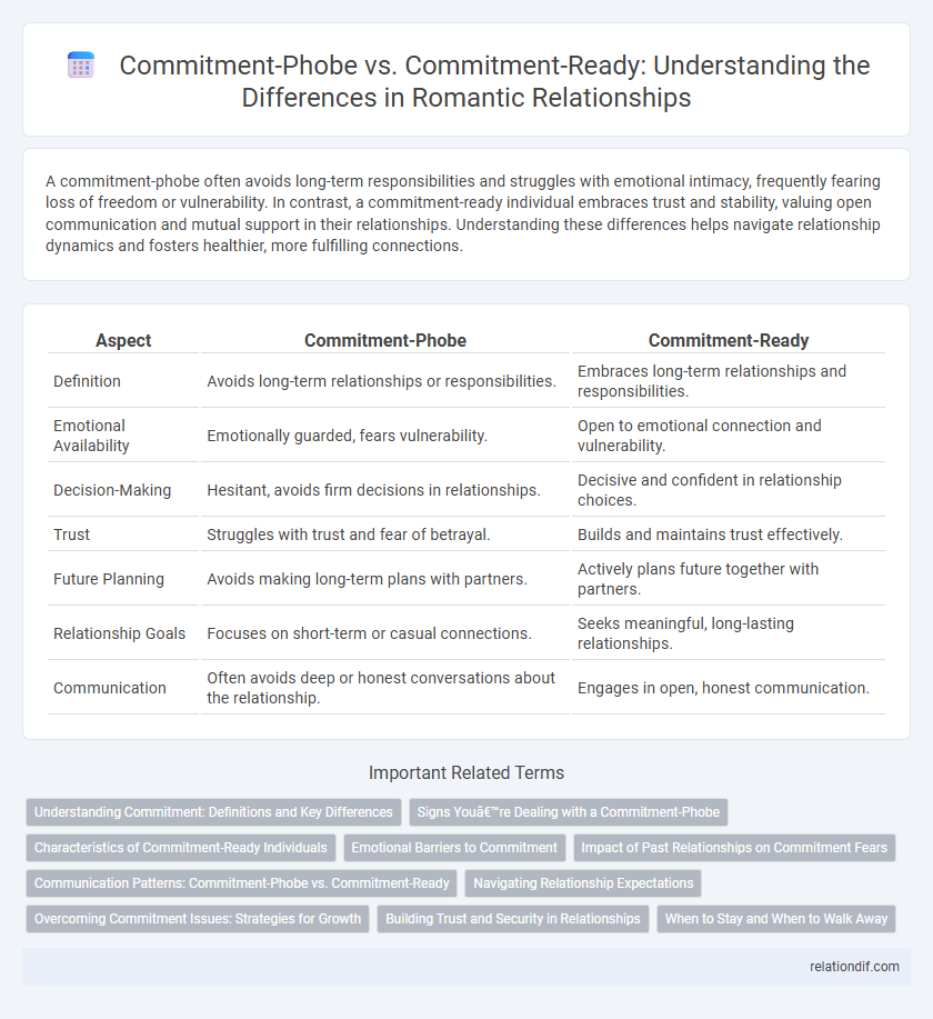 Commitment-Phobe vs. Commitment-Ready: Understanding the Differences in Romantic Relationships