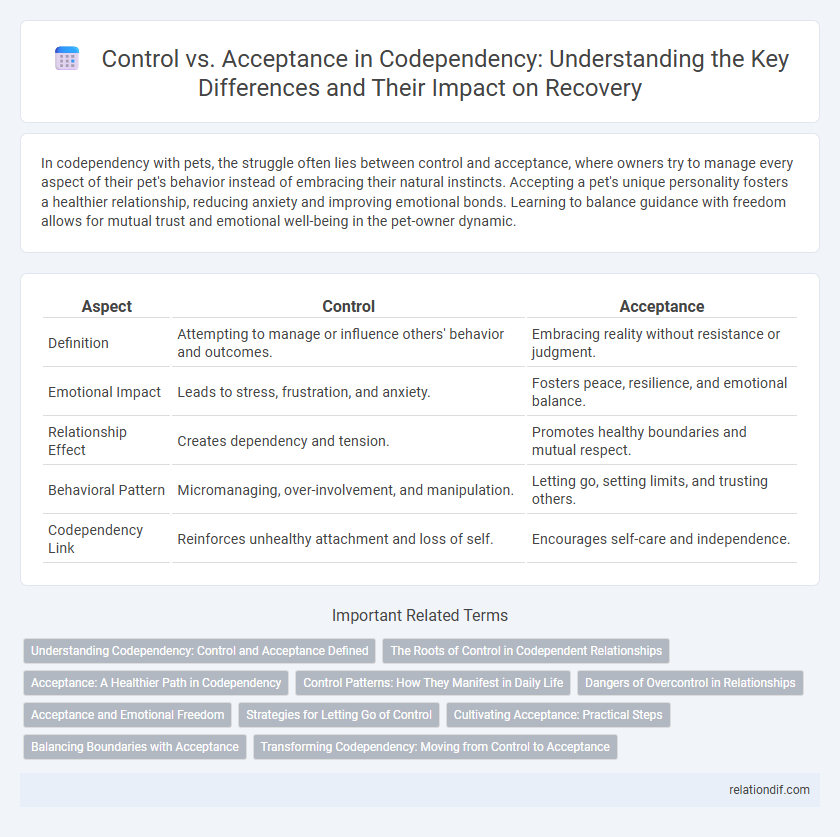 Control vs. Acceptance in Codependency: Understanding the Key Differences and Their Impact on Recovery