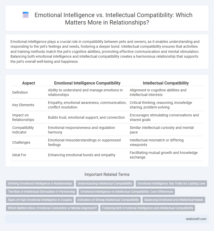 Emotional Intelligence vs. Intellectual Compatibility: Which Matters More in Relationships?