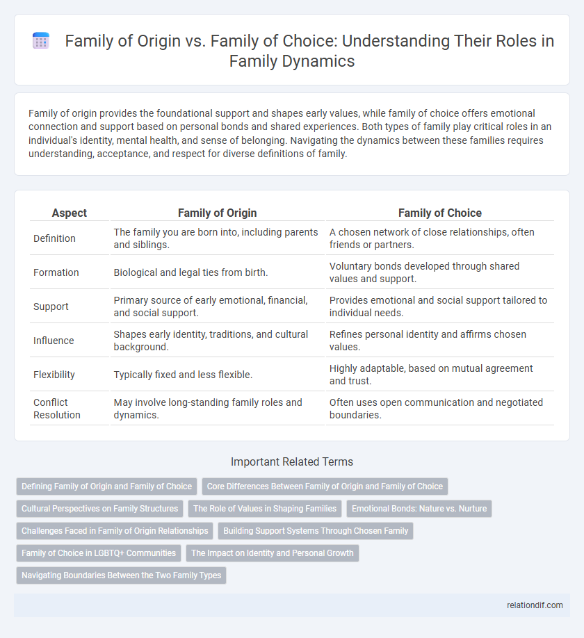 Family of Origin vs. Family of Choice: Understanding Their Roles in Family Dynamics