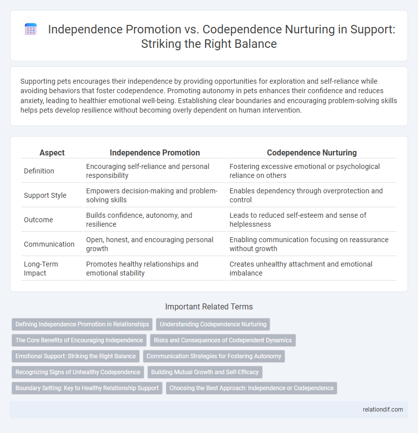 Independence Promotion vs. Codependence Nurturing in Support: Striking the Right Balance