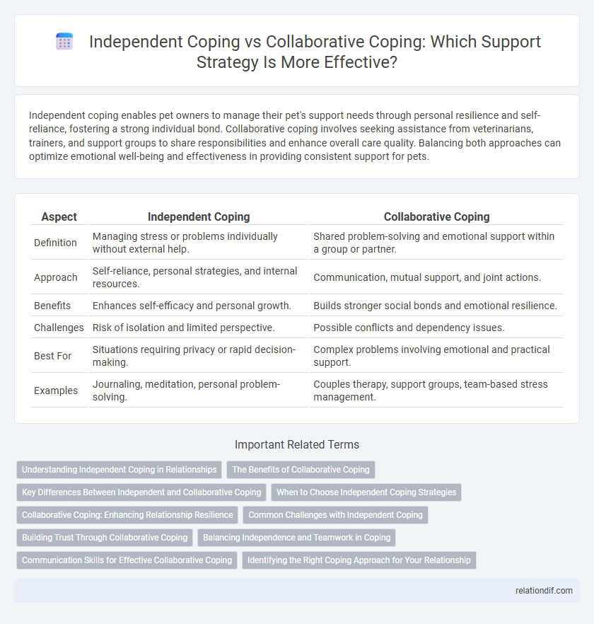 Independent Coping vs Collaborative Coping: Which Support Strategy Is More Effective?