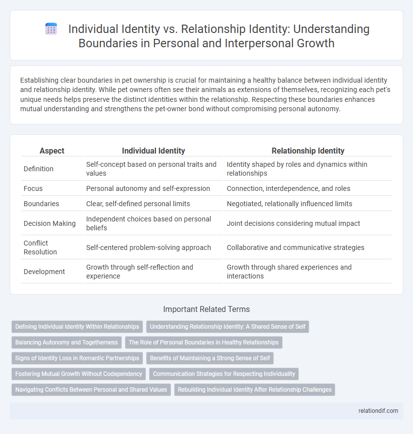 Individual Identity vs. Relationship Identity: Understanding Boundaries in Personal and Interpersonal Growth