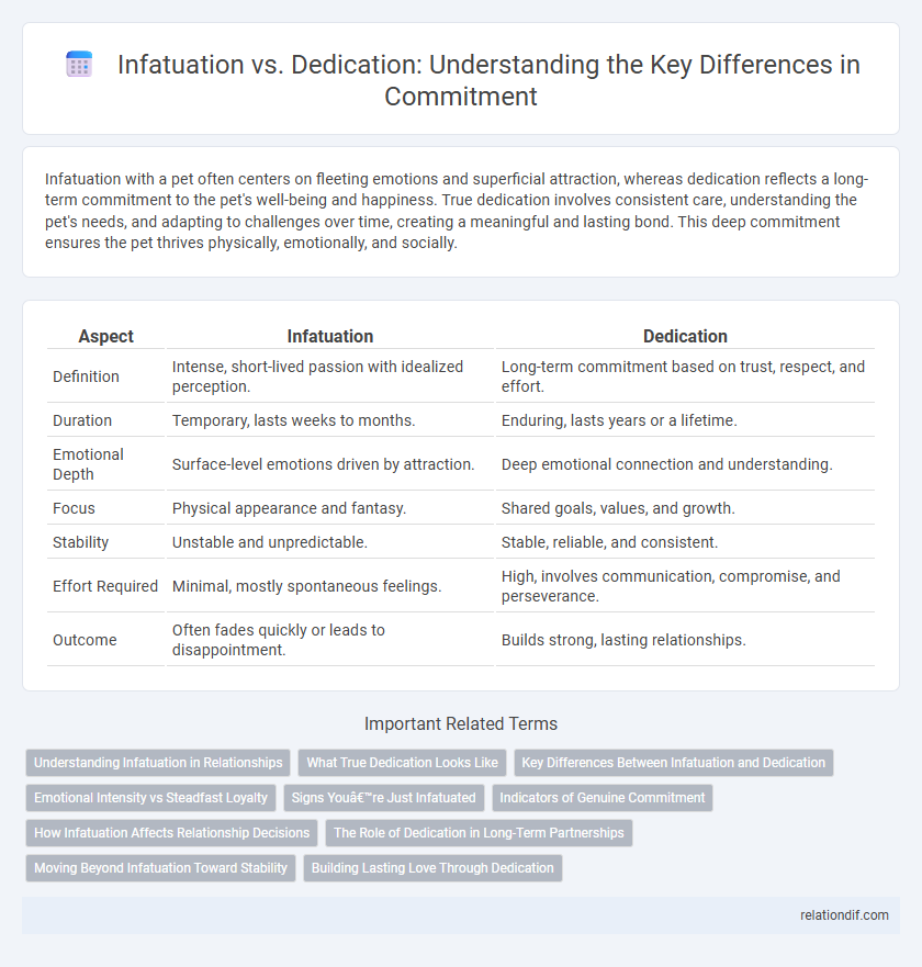 Infatuation vs. Dedication: Understanding the Key Differences in Commitment
