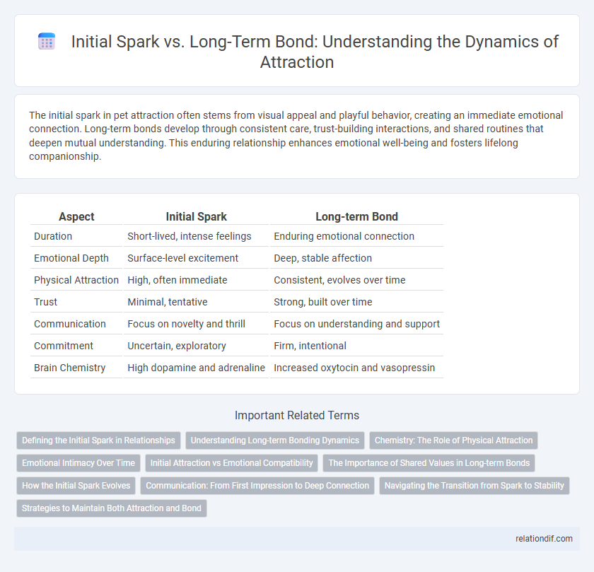 Initial Spark vs. Long-Term Bond: Understanding the Dynamics of Attraction