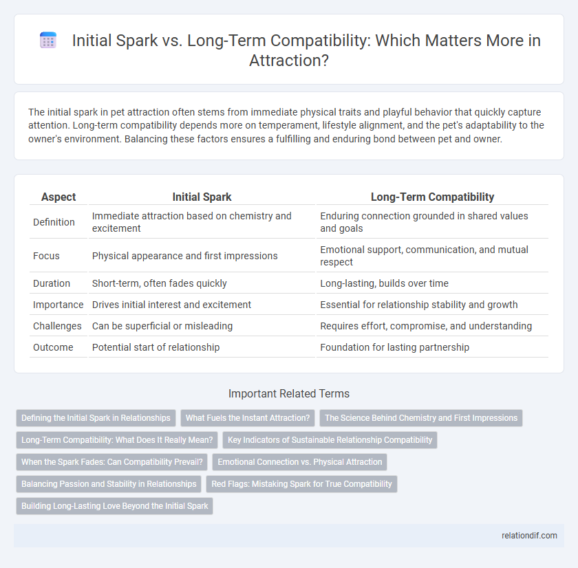 Initial Spark vs. Long-Term Compatibility: Which Matters More in Attraction?