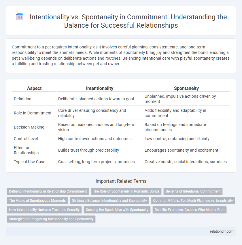 Intentionality vs. Spontaneity in Commitment: Understanding the Balance for Successful Relationships