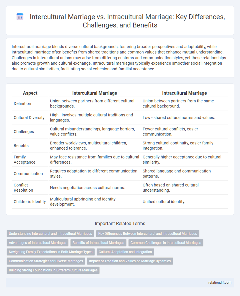 Intercultural Marriage vs. Intracultural Marriage: Key Differences, Challenges, and Benefits