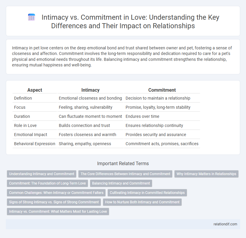 Intimacy vs. Commitment in Love: Understanding the Key Differences and Their Impact on Relationships