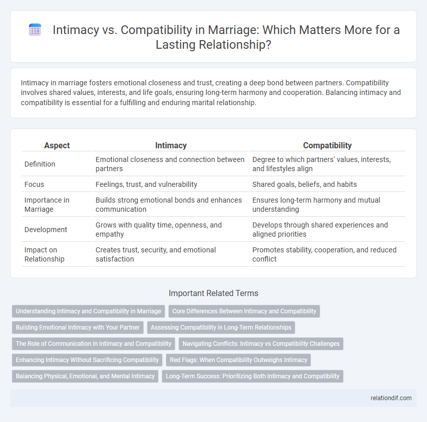 Intimacy vs. Compatibility in Marriage: Which Matters More for a Lasting Relationship?