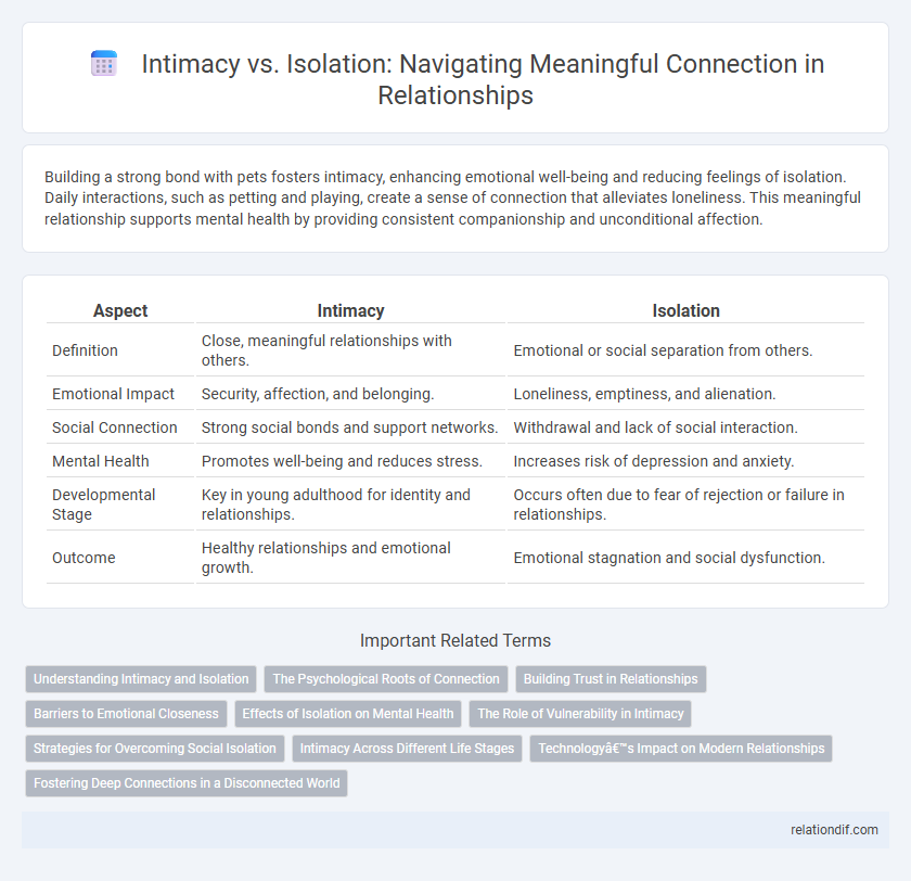 Intimacy vs. Isolation: Navigating Meaningful Connection in Relationships