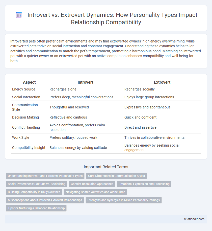 Introvert vs. Extrovert Dynamics: How Personality Types Impact Relationship Compatibility