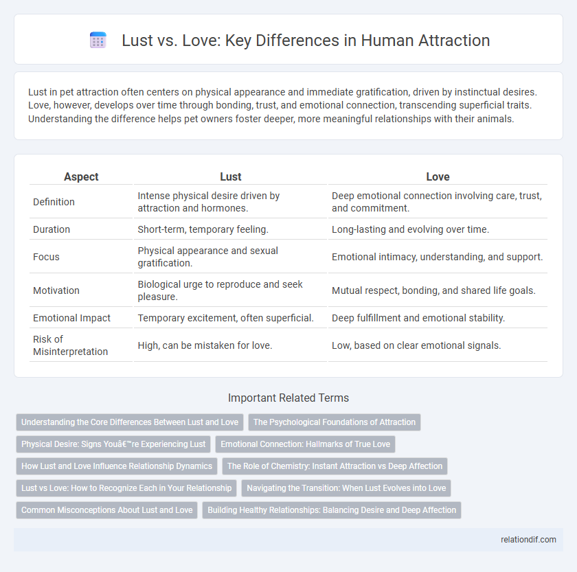 Lust vs. Love: Key Differences in Human Attraction