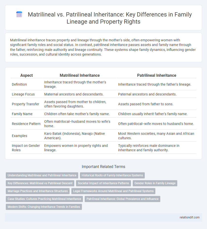 Matrilineal vs. Patrilineal Inheritance: Key Differences in Family Lineage and Property Rights