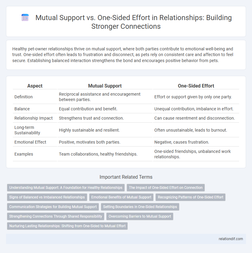 Mutual Support vs. One-Sided Effort in Relationships: Building Stronger Connections