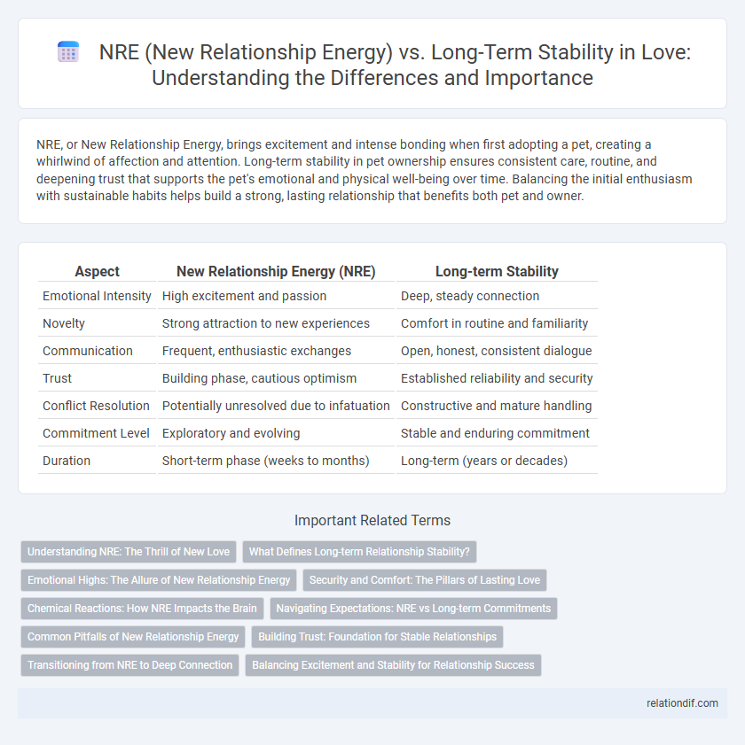 NRE (New Relationship Energy) vs. Long-Term Stability in Love: Understanding the Differences and Importance