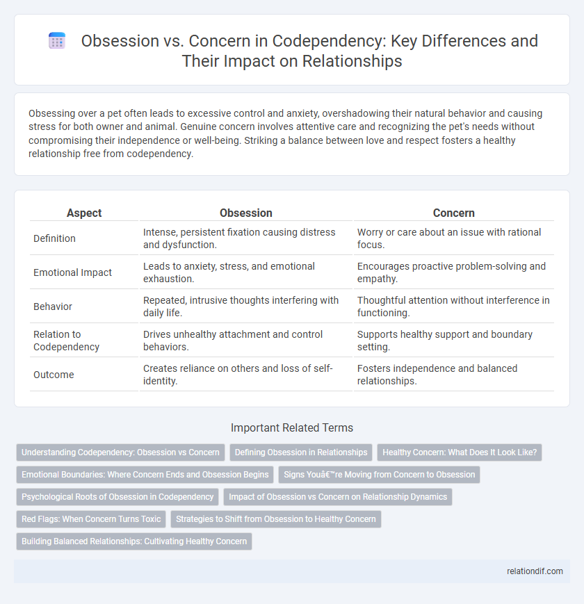 Obsession vs. Concern in Codependency: Key Differences and Their Impact on Relationships