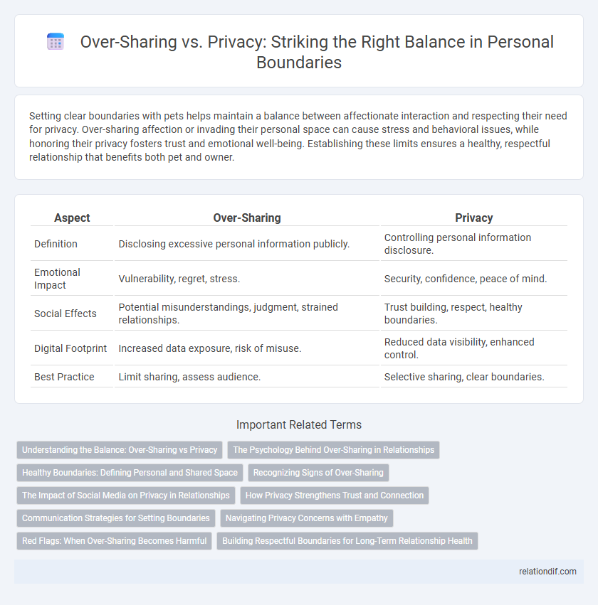 Over-Sharing vs. Privacy: Striking the Right Balance in Personal Boundaries