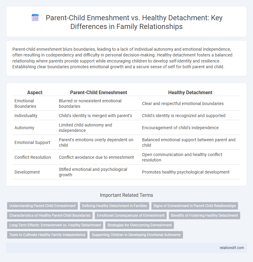 Parent-Child Enmeshment vs. Healthy Detachment: Key Differences in Family Relationships
