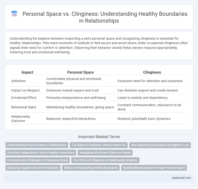 Personal Space vs. Clinginess: Understanding Healthy Boundaries in Relationships