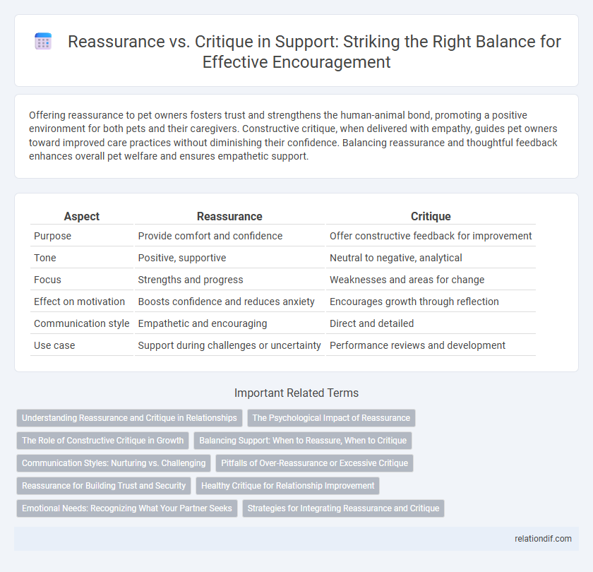 Reassurance vs. Critique in Support: Striking the Right Balance for Effective Encouragement