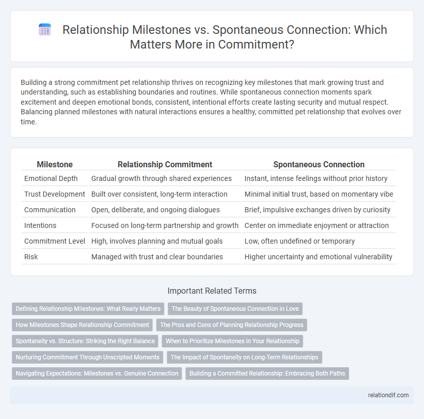 Relationship Milestones vs. Spontaneous Connection: Which Matters More in Commitment?