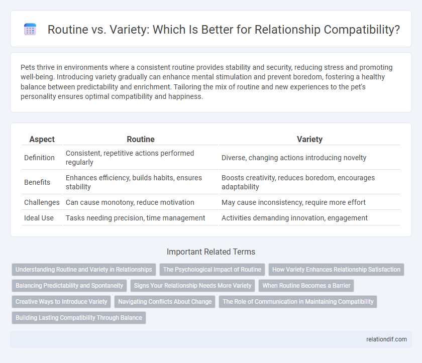 Routine vs. Variety: Which Is Better for Relationship Compatibility?