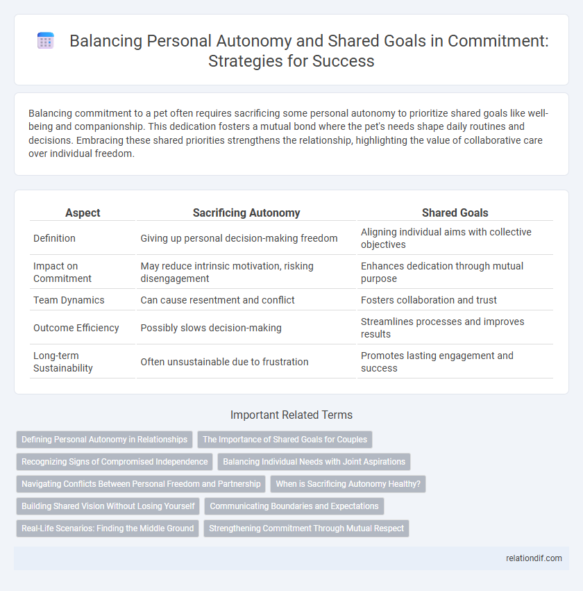 Balancing Personal Autonomy and Shared Goals in Commitment: Strategies for Success