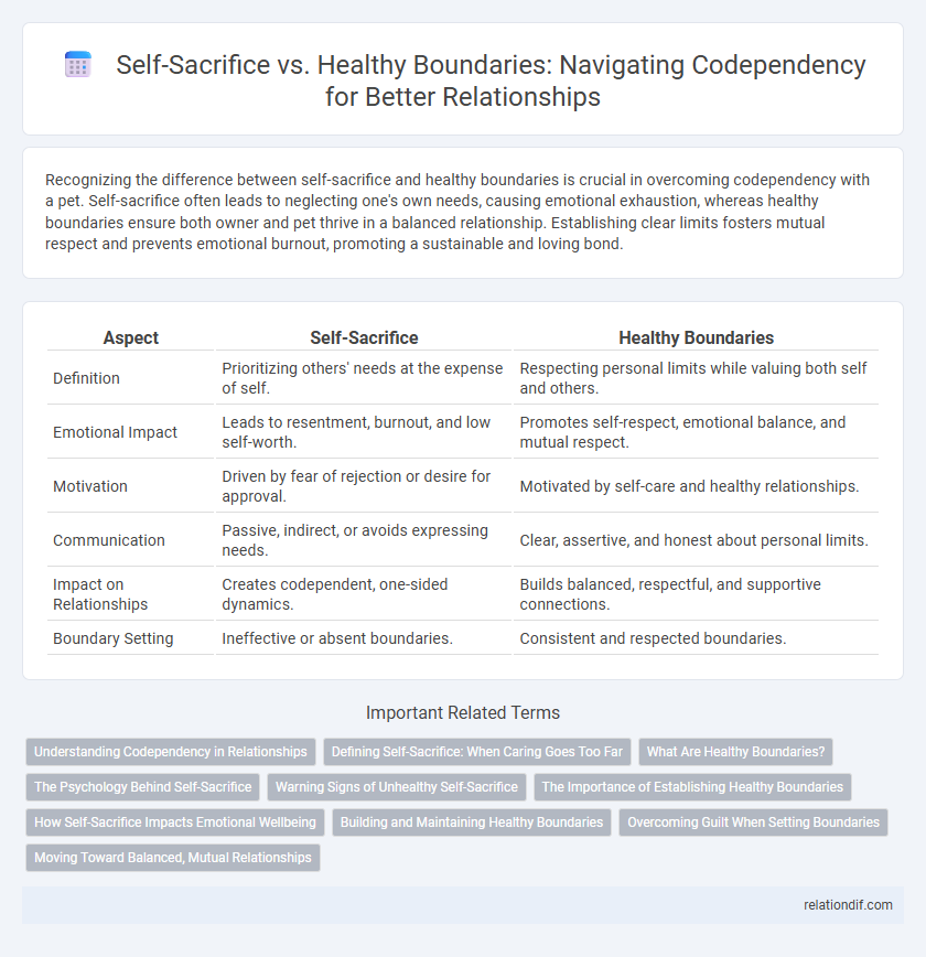 Self-Sacrifice vs. Healthy Boundaries: Navigating Codependency for Better Relationships