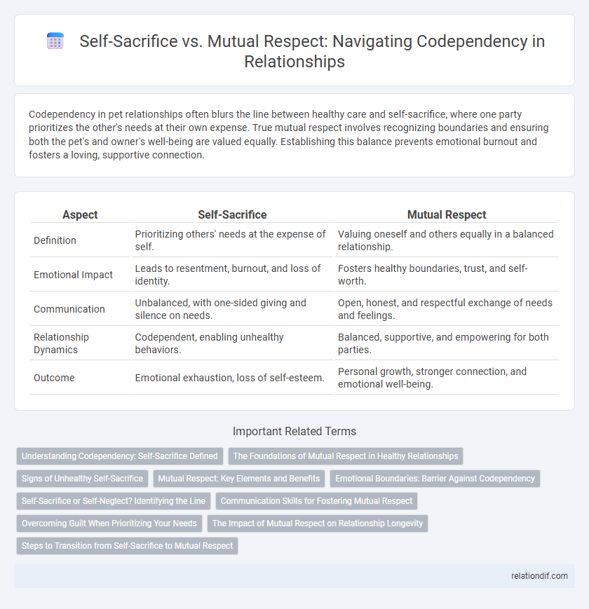 Self-Sacrifice vs. Mutual Respect: Navigating Codependency in Relationships