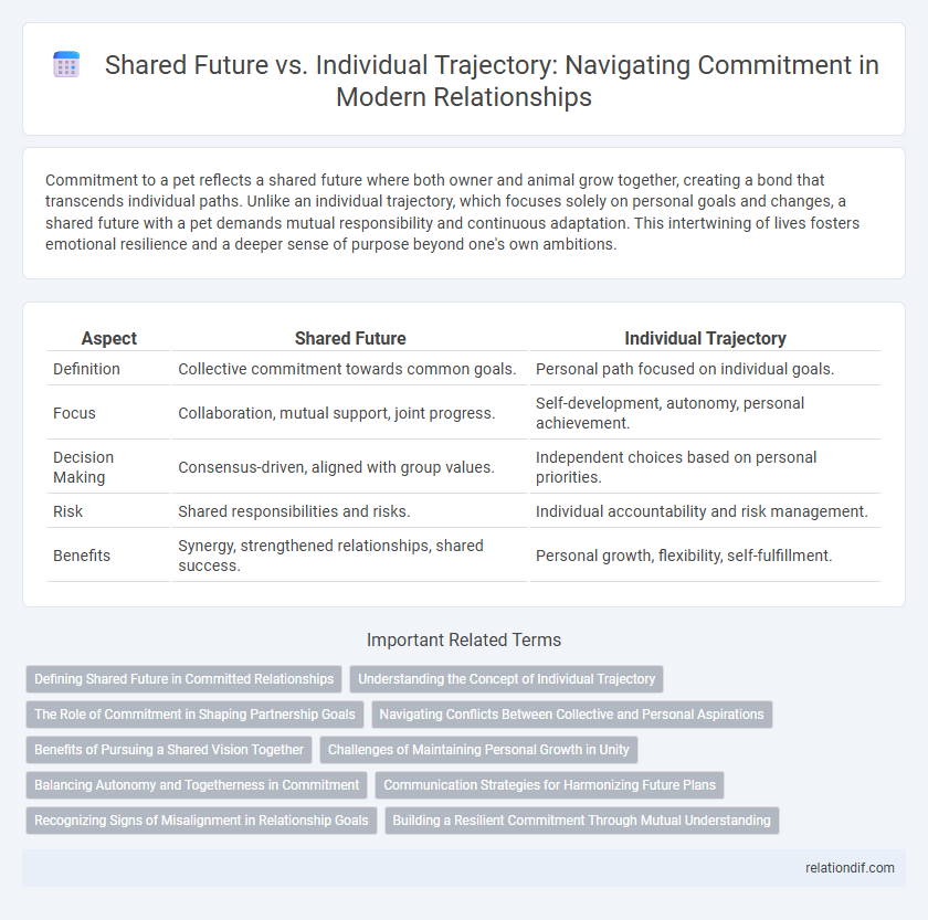 Shared Future vs. Individual Trajectory: Navigating Commitment in Modern Relationships