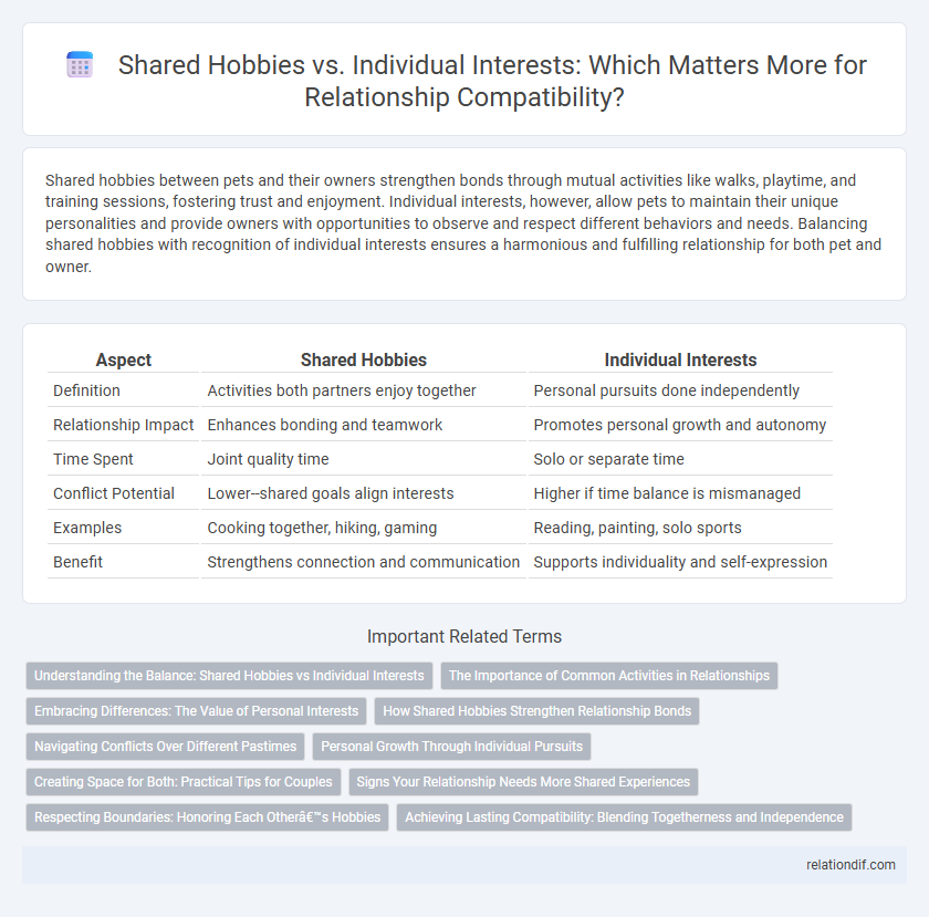 Shared Hobbies vs. Individual Interests: Which Matters More for Relationship Compatibility?
