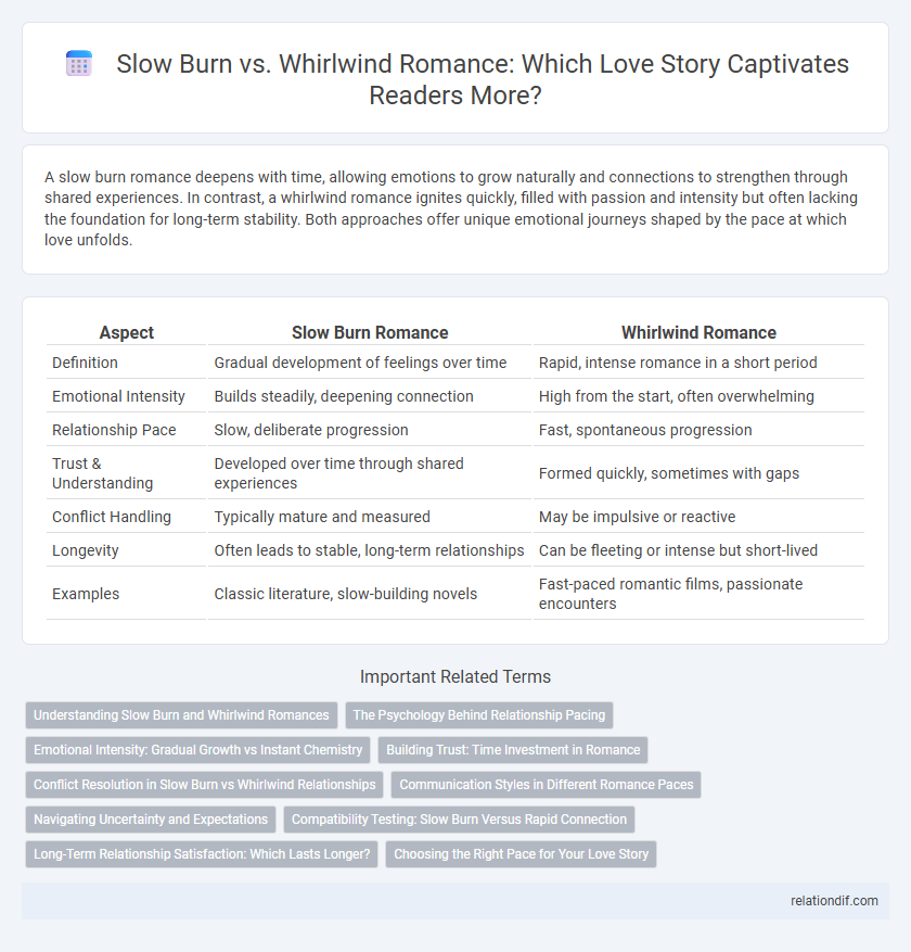 Slow Burn vs. Whirlwind Romance: Which Love Story Captivates Readers More?