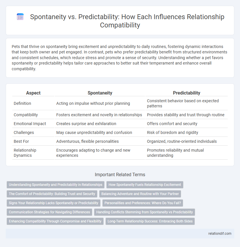 Spontaneity vs. Predictability: How Each Influences Relationship Compatibility
