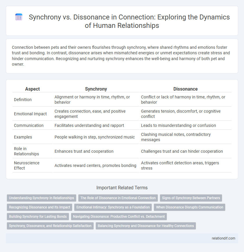 Synchrony vs. Dissonance in Connection: Exploring the Dynamics of Human Relationships