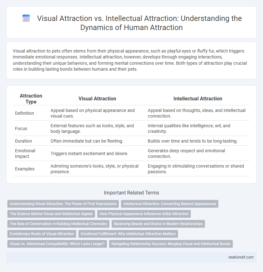Visual Attraction vs. Intellectual Attraction: Understanding the Dynamics of Human Attraction