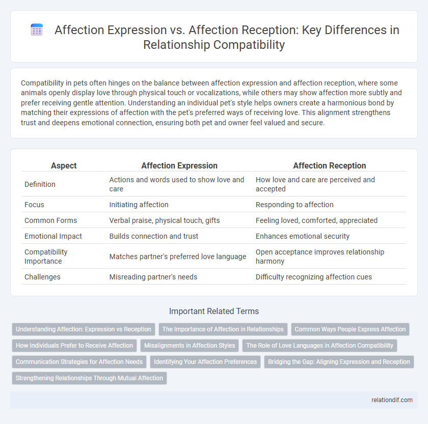 Affection Expression vs. Affection Reception: Key Differences in Relationship Compatibility