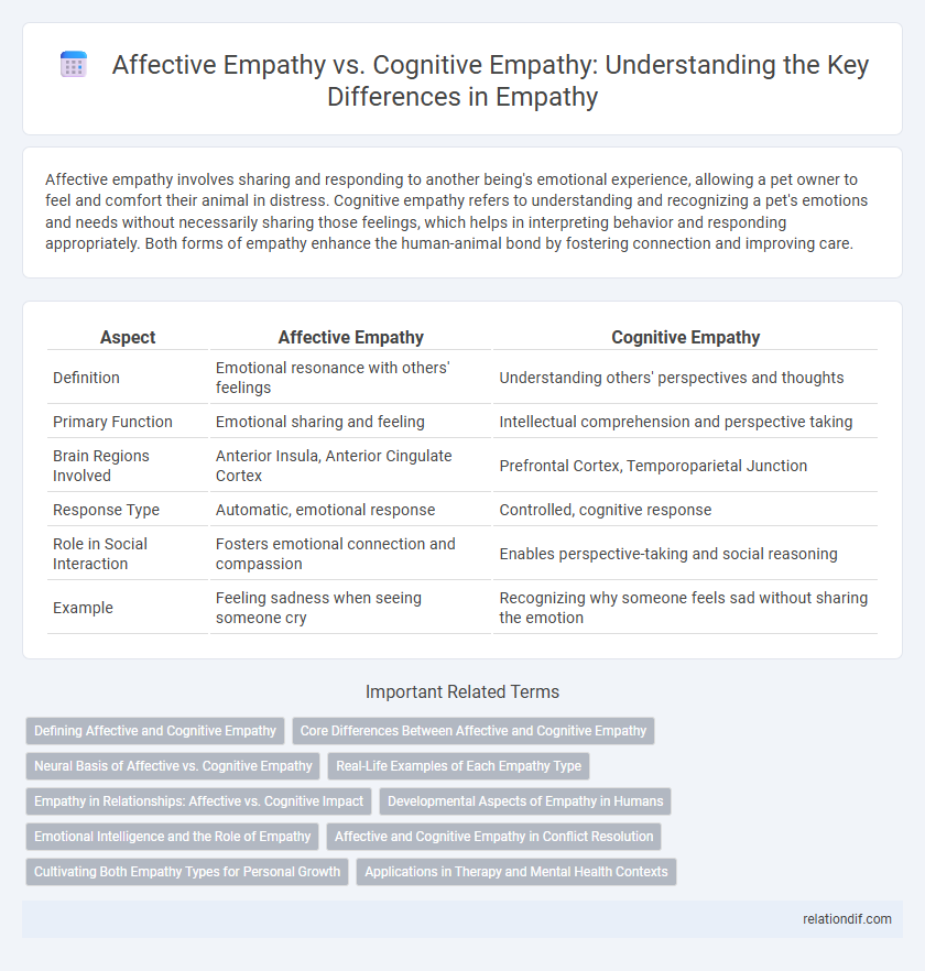 Affective Empathy vs. Cognitive Empathy: Understanding the Key Differences in Empathy
