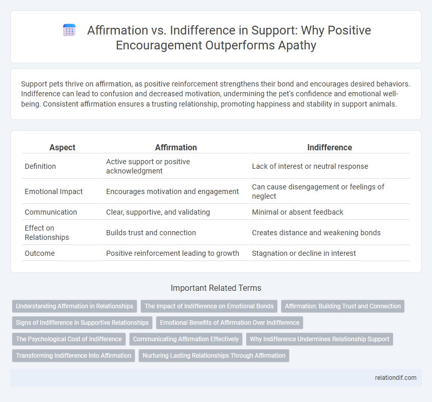 Affirmation vs. Indifference in Support: Why Positive Encouragement Outperforms Apathy