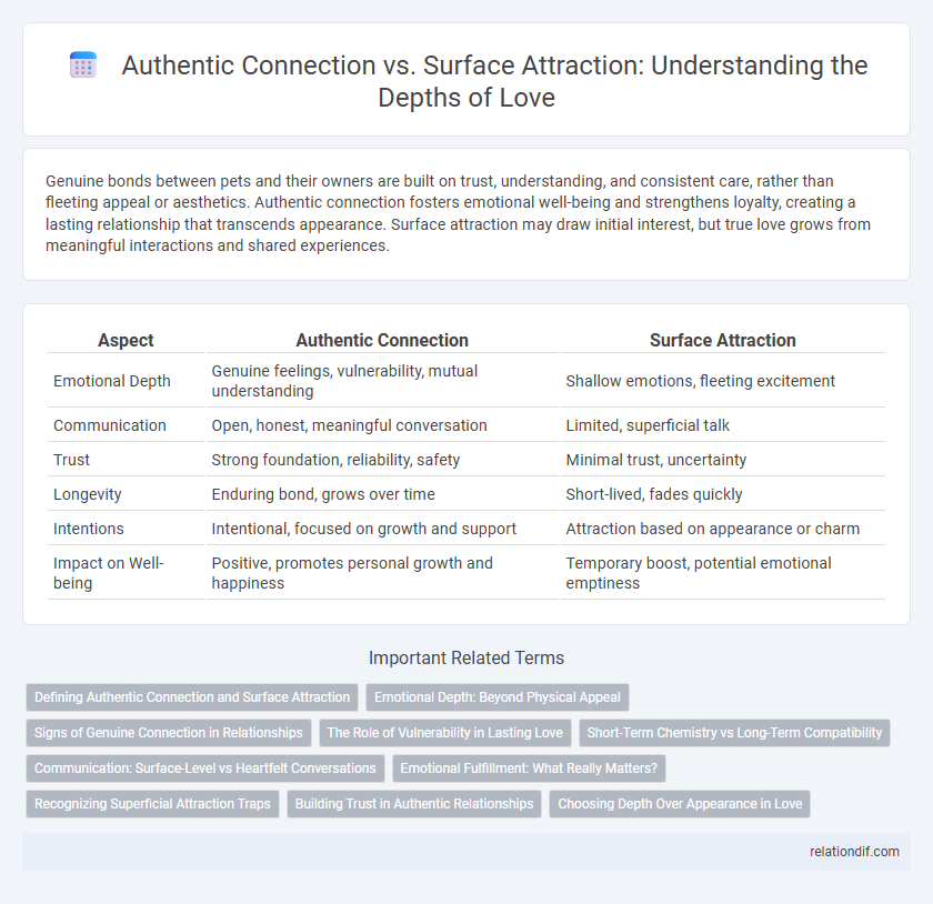 Authentic Connection vs. Surface Attraction: Understanding the Depths of Love