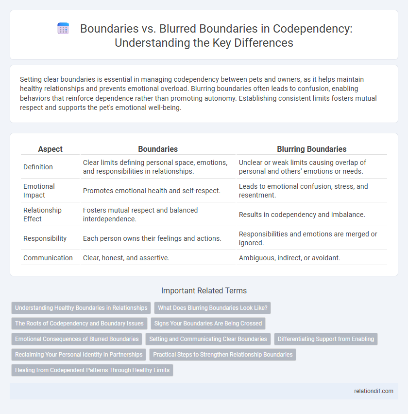 Boundaries vs. Blurred Boundaries in Codependency: Understanding the Key Differences