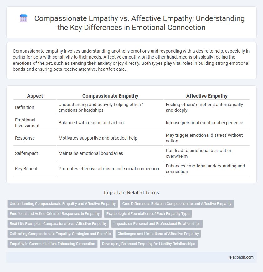 Compassionate Empathy vs. Affective Empathy: Understanding the Key Differences in Emotional Connection