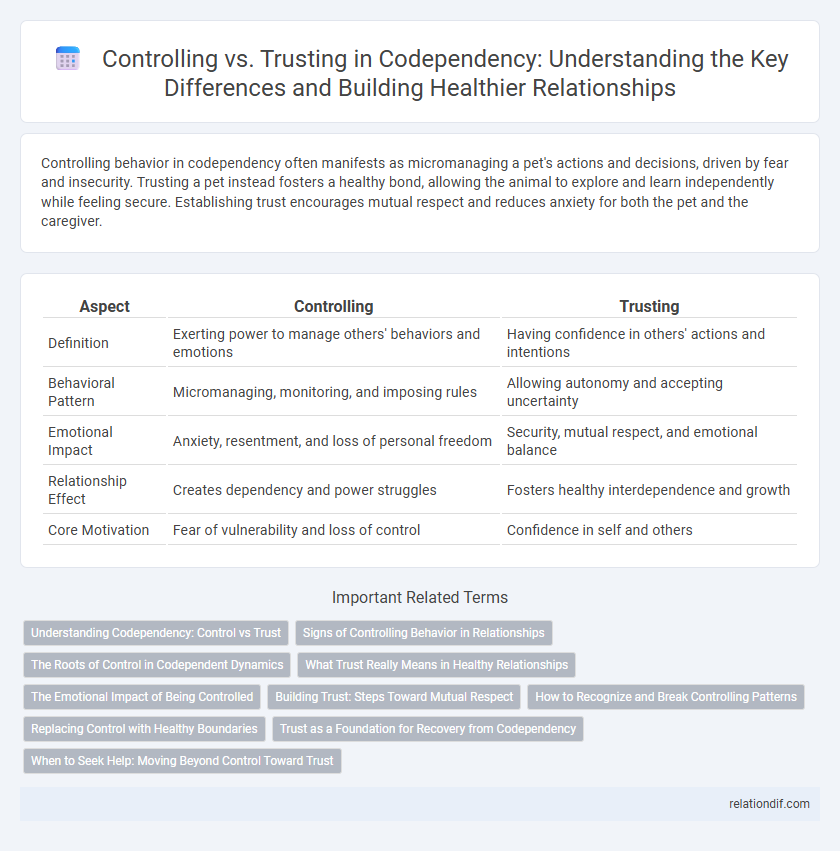 Controlling vs. Trusting in Codependency: Understanding the Key Differences and Building Healthier Relationships