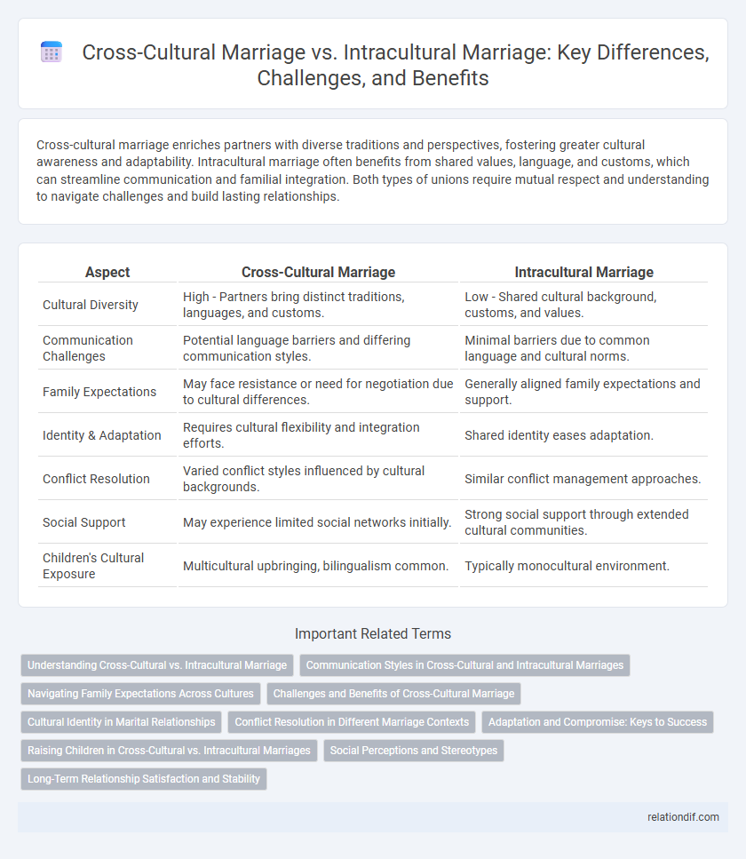 Cross-Cultural Marriage vs. Intracultural Marriage: Key Differences, Challenges, and Benefits