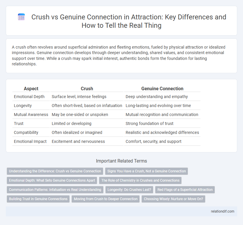 Crush vs Genuine Connection in Attraction: Key Differences and How to Tell the Real Thing