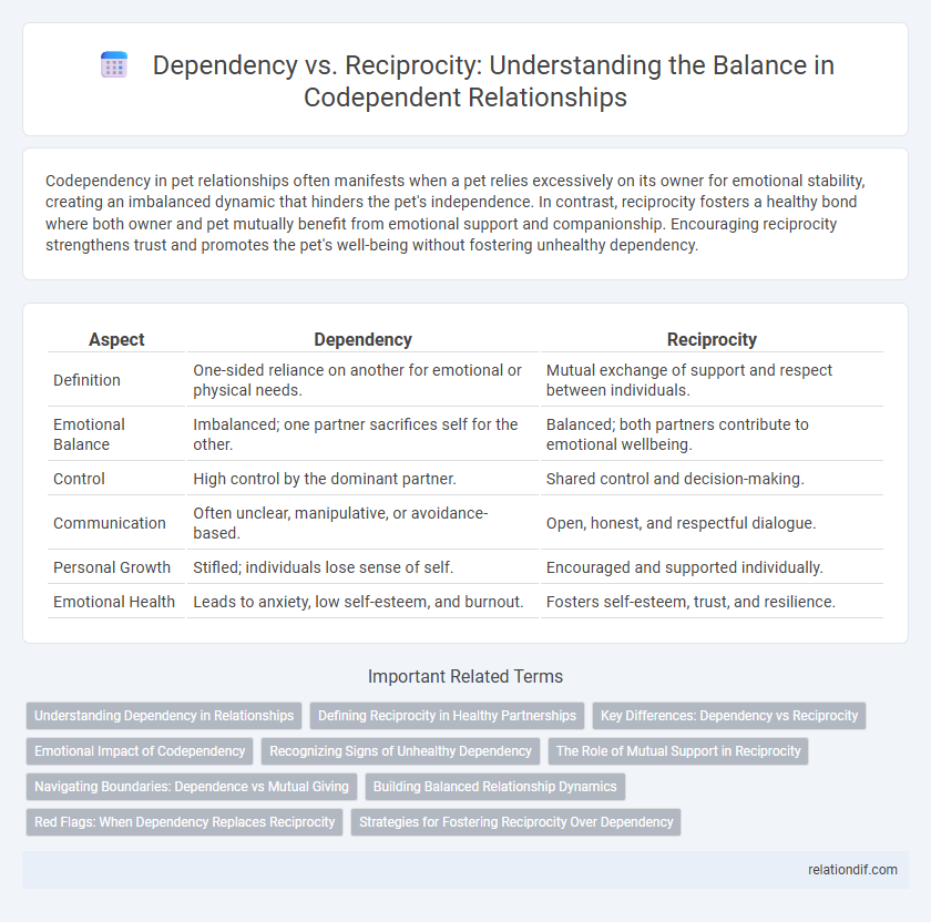 Dependency vs. Reciprocity: Understanding the Balance in Codependent Relationships