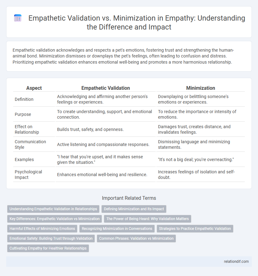 Empathetic Validation vs. Minimization in Empathy: Understanding the Difference and Impact