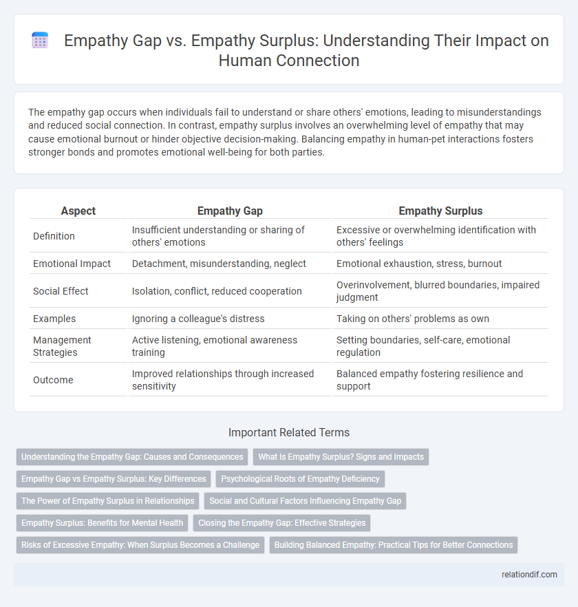 Empathy Gap vs. Empathy Surplus: Understanding Their Impact on Human Connection