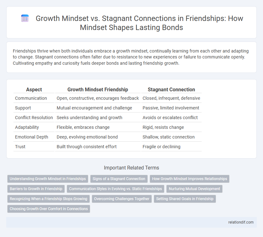 Growth Mindset vs. Stagnant Connections in Friendships: How Mindset Shapes Lasting Bonds