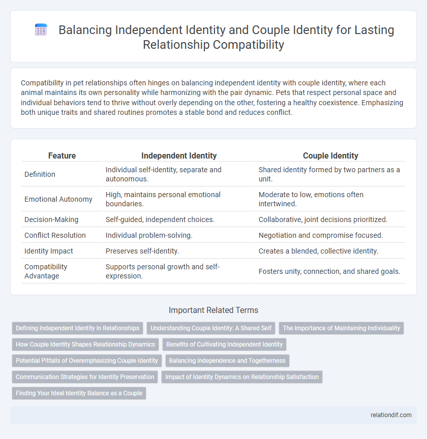 Balancing Independent Identity and Couple Identity for Lasting Relationship Compatibility